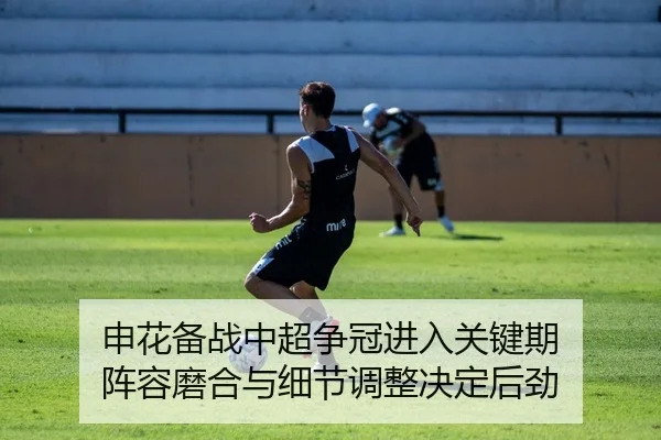 申花备战中超争冠进入关键期 阵容磨合与细节调整决定后劲